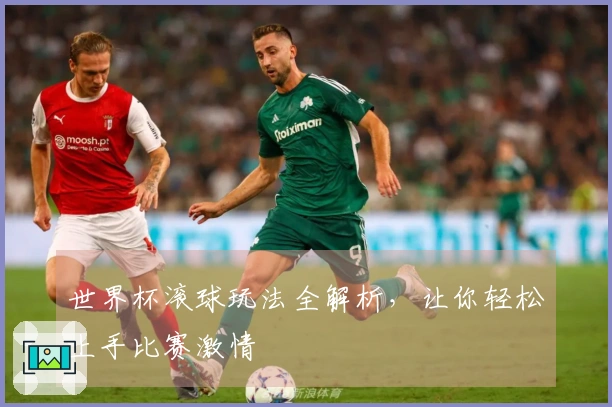 世界杯滚球玩法全解析，让你轻松上手比赛激情