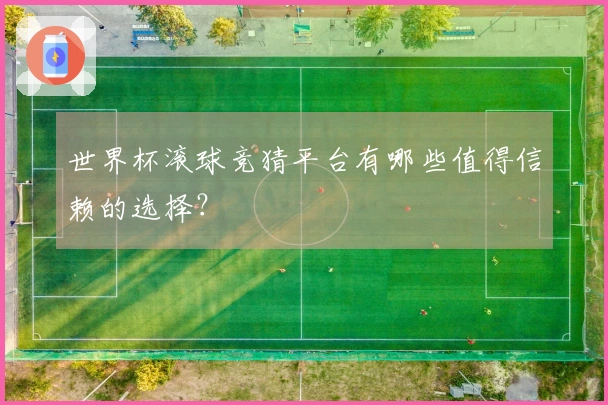 世界杯滚球竞猜平台有哪些值得信赖的选择？