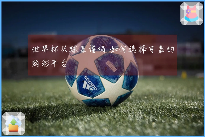 世界杯买球靠谱吗 如何选择可靠的购彩平台