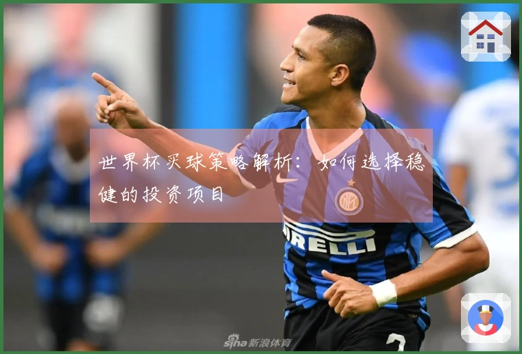 世界杯买球策略解析：如何选择稳健的投资项目