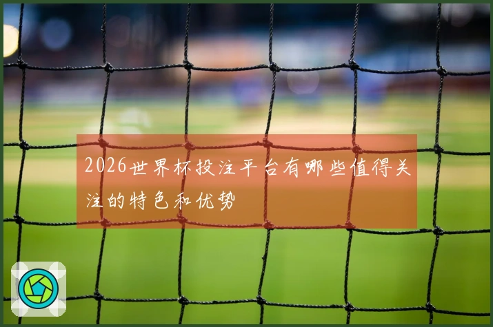 2026世界杯投注平台有哪些值得关注的特色和优势